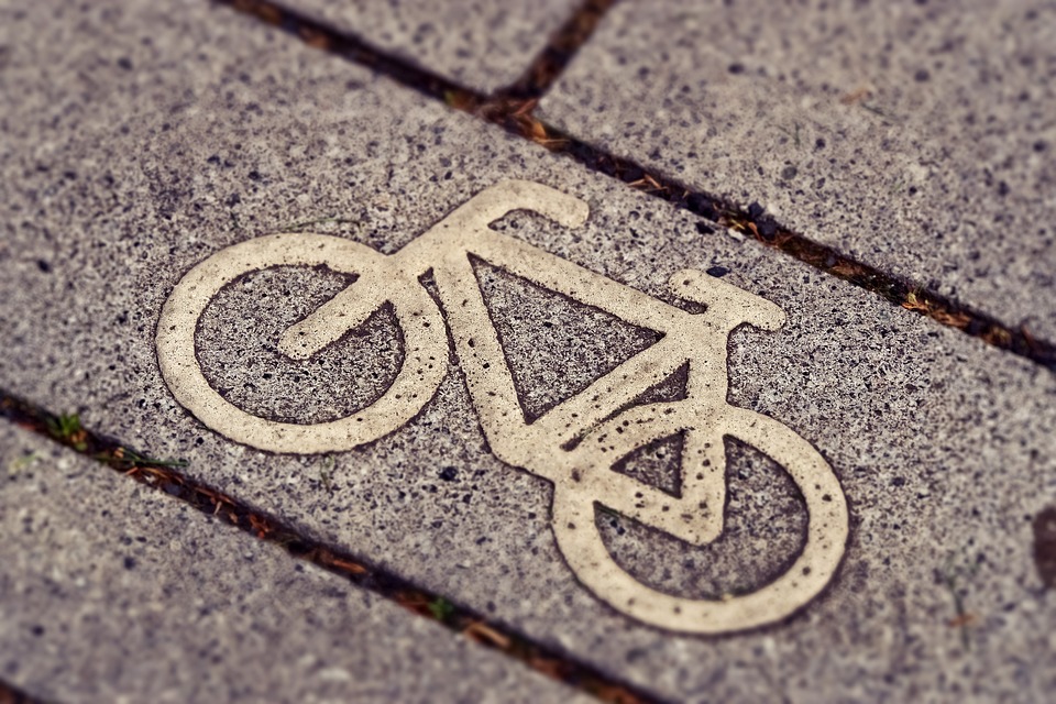 Cyklistika jako kardiovaskulární trénink 1 Které svaly se při cyklistice zapojují?