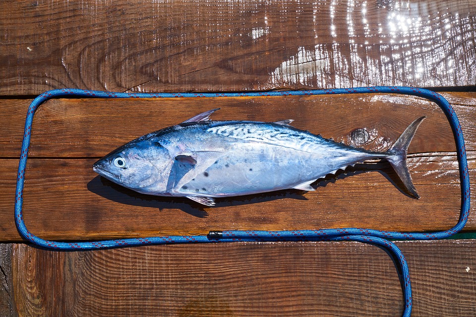 Omega 3 a jeho význam pro zdraví srdce a cév