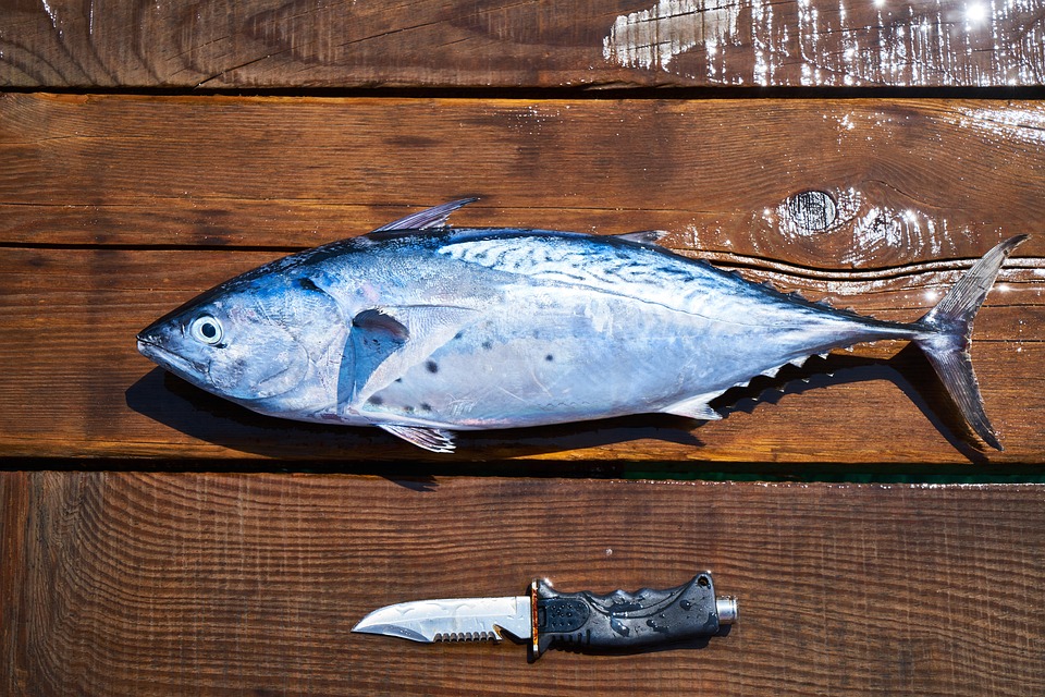 Proč je Omega-3 důležitá a k čemu slouží?