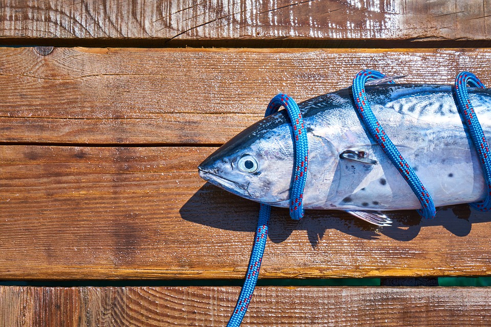Jak získat dostatek omega 3 mastných kyselin 1 Jak získat dostatek omega 3 mastných kyselin