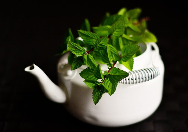 Nejlepší zelený čaj na trhu