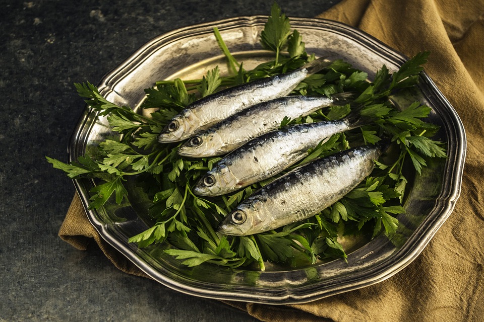 Omega 3 - Esenciální mastné kyseliny 1 Účinky omega 3 na zdraví