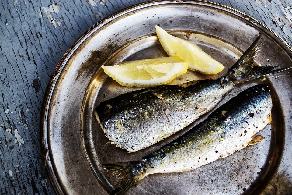 Má kreveta Omega 3?