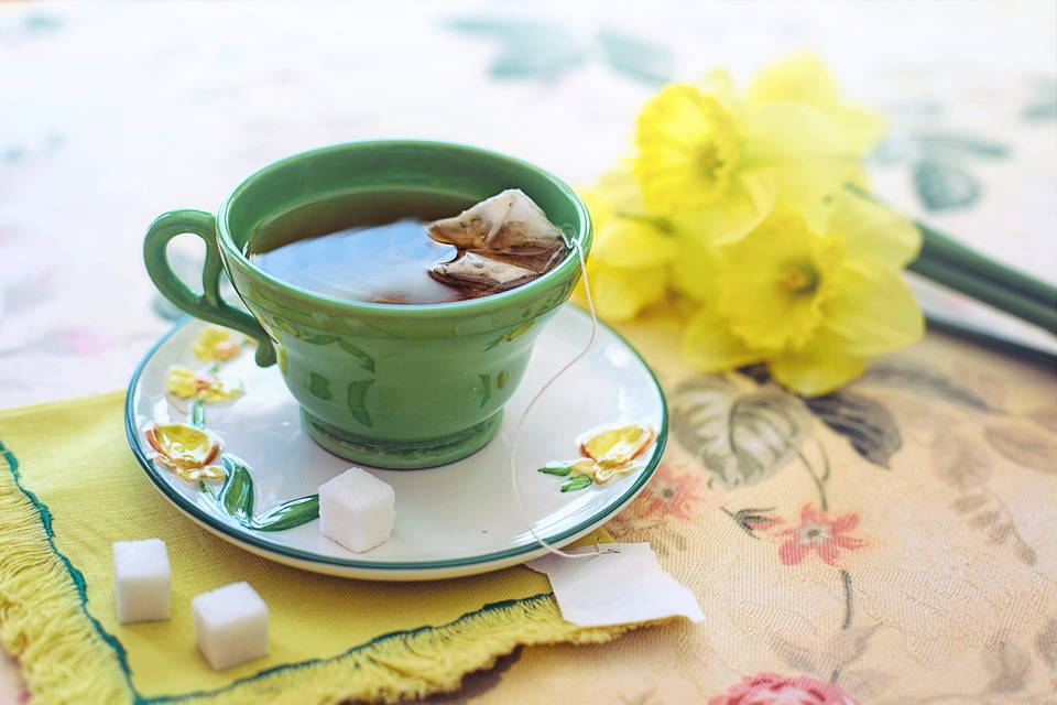 Zelený čaj nebo káva? Jaké jsou výhody zeleného čaje