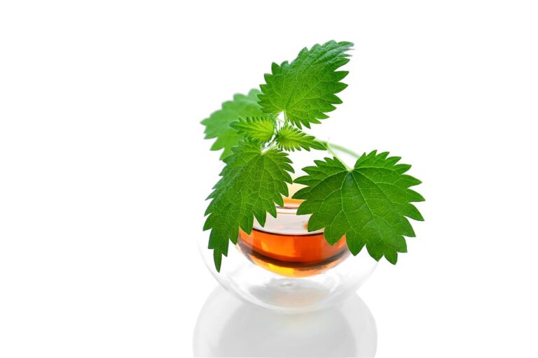 Co se skrývá v Green Tea Shotu
