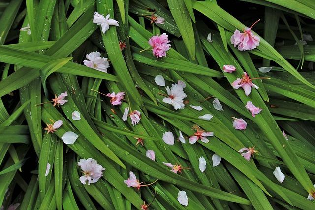 Menopauza a kotvičník: Jak zmírnit příznaky? 2 Jak se projevuje menopauza u žen?